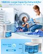 Amazon.com: LONOVE Dehumidifiers for Home - 5000 Cubic Feet (450 Sq.ft) Upgraded with Drain Hose Dehumidifiers for Home Room Bathroom Bedroom Closet RV Basements, 1800ML (61 oz) Quiet Portable Small Dehumidifier: Kitchen & Dining