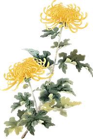 重阳节灵感图 7