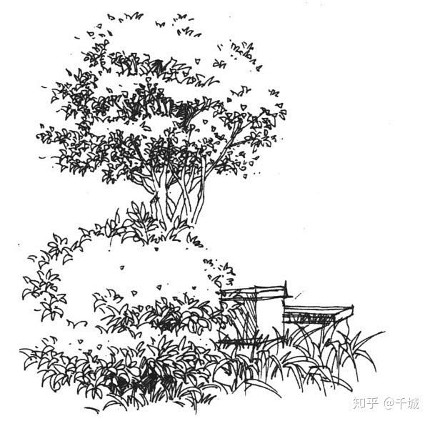 风景速写花草灌木手绘景观树小景图手绘手绘树线稿建筑手绘植物配景