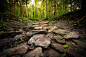 The pathway by Nukorn Plainpan on 500px