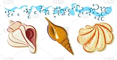 收集海浪在海滩上的海壳