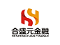 深圳市合盛元金融服务有限公司logo设计方案11