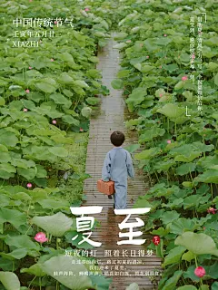 夏天夏至节气祝福清新风plog模板