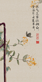 金银花-水彩国风插画