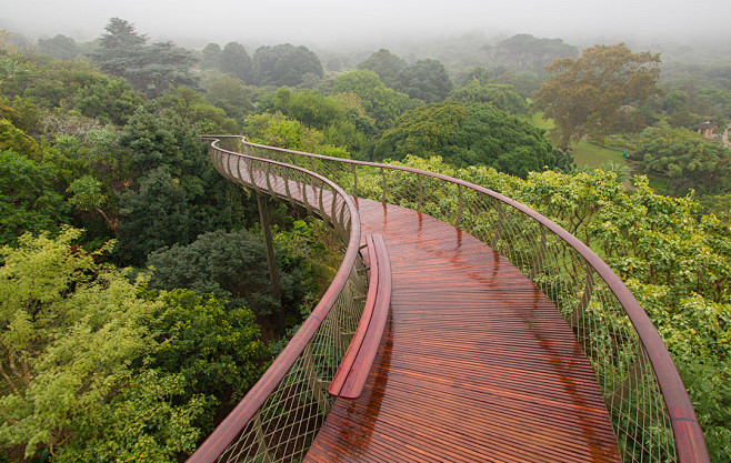 Tree Canopy Walkway ...