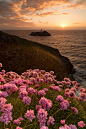 Cornwall, England by Raymond Bradshaw（康沃尔，英格兰by Raymond肖）
