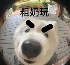 日漫 狗 表情包_百度图片搜索