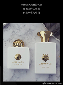 ZHE54采集到AMOUAGE爱慕