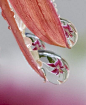 lily in the water droplets by betty wiley, via Flickr