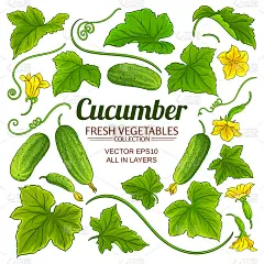 cucumber elements set