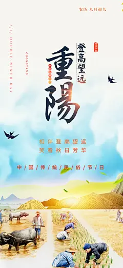 金秋秋日重阳节敬老爱老宣传活动海报