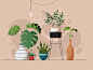 Plants flower monstera home design home interior decor leaves plants plant colorful web minimal vector graphic design flat design illustrator art illustration