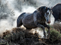 51802043269_31dc5b303c_4k.jpg (3815×2820)