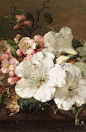 〖  Margaretha Roosenboom · 静物花卉…  〗 ​ ​​​​