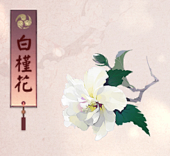 夜还不能寐吗采集到古风风物