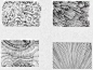 【钢笔画】 超全的钢笔画排线方法与教程！初学者收藏了！