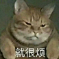 【沙雕猫猫表情包】 (礼貌拿图)

精神抖擞/就很烦/起了歹念
啊啊啊/我生活感情工作学习/兴奋到尖叫
我这一巴掌下去你可能会die/收声
别套近乎咱俩都不是一个工地的
#沙雕猫猫表情包# #沙雕表情包# ​ ​​​​