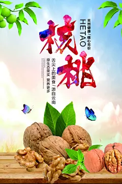 核桃土特产海报
