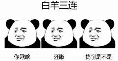 哈哈哈哈哈哈我不要面子的啊，现在的表情包杀伤力太强了！