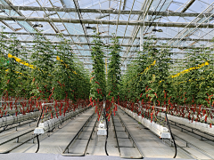 景观设计JUNNO采集到设施产业