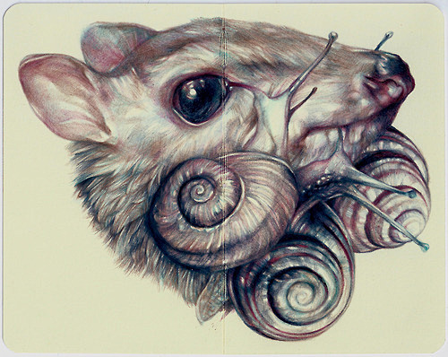 插画 彩铅 Marco Mazzoni