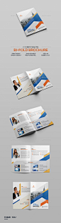 Corporate Bifold  Brochure - Corporate Brochures
