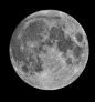 space-pics:

full moon from last night, taken through my telescope. / via
