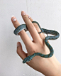 蛇注意。Jane太太分享的圣诞配色蛇蛇~鳞片真的超美!!! ​​​​
