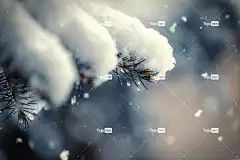 冬天 高清壁纸 全高清壁纸 霜 4K壁纸1920X1080 雪 降雪