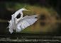 Landing by Michael Cleary on 500px #景色# #摄影#