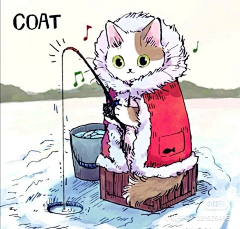 刃兔兔采集到猫