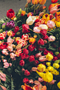 Tulips at the market

By Arthur Chang