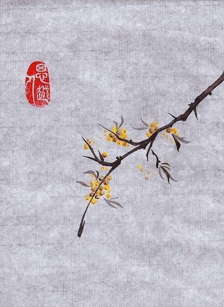 《草药闲谈》。