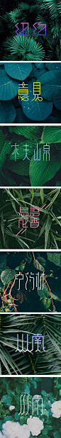 字体