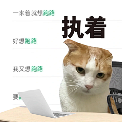 夜曌星辰采集到画板