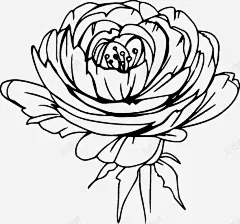 手绘的牡丹花图标 平面电商 创意素材