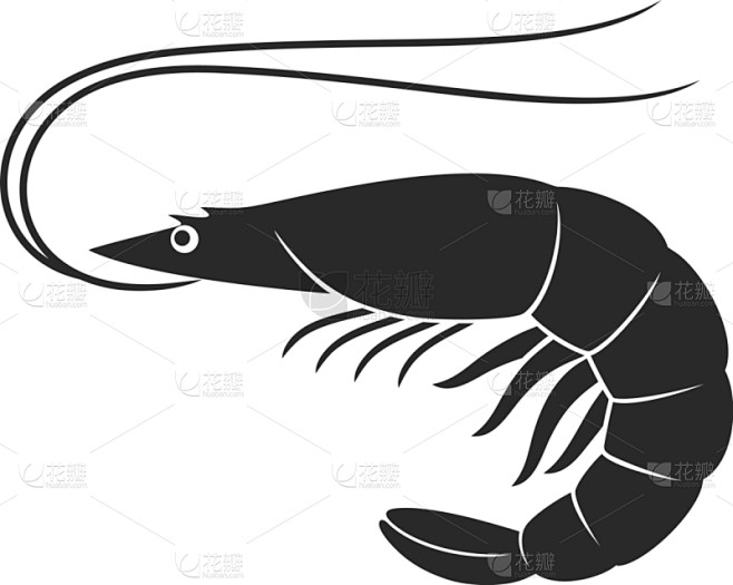 虾,圆形,黑色,奇异的,海洋生命,图像,...