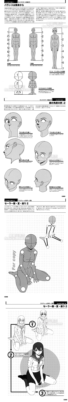 唯美杂想采集到唯美-人体结构