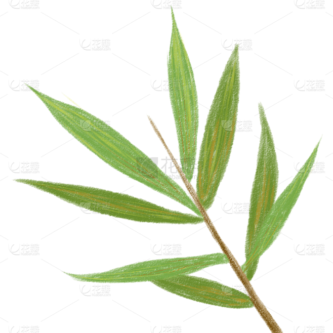 手绘-彩铅竹叶植物元素贴纸1