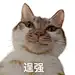 早点睡uuuz