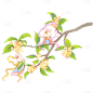 中秋节中秋插画花朵植物元素