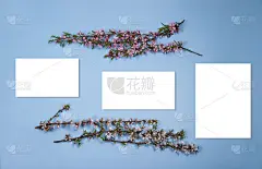 三张蓝色背景的白纸。模型与开花的树枝