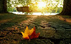 唯美风景风光美景电脑桌面高清壁纸桌面壁纸3