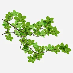 树枝干树枝免抠素材_新图网 https://ixintu.com 叶子 干树枝 枯树 树 树木 树枝 植物 绿色