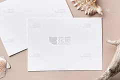 最小的纸卡模型米色背景与树枝和贝壳