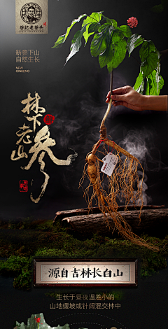 丽宝~采集到好看的详情页