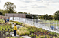Mortsel公园学校， 比利时 / BINST ARCHITECTS : 被动式节能校园
