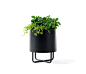 SHIMA GARDEN Ø38 - Plant pots from Johanson | Architonic : SHIMA GARDEN Ø38 - Designer Plant pots from Johanson ✓ all information ✓ high-resolution images ✓ CADs ✓ catalogues ✓ contact information ✓..