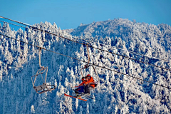 橘枳子采集到西岭雪山