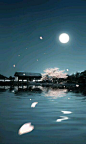 古风/底图/背景/海报/月/夜/江。汜荩处理去水印。